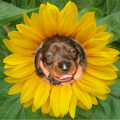 307