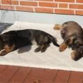 Franka mit Gina
