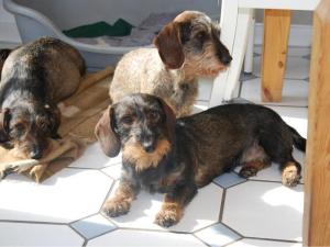 Lucy mit Enkel und Urenkel