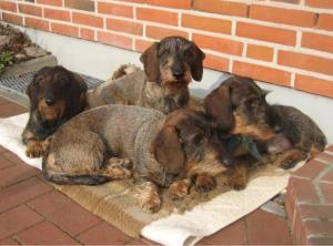 Lucy hat alles im Griff